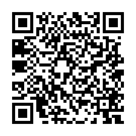 QR code for 0335495
