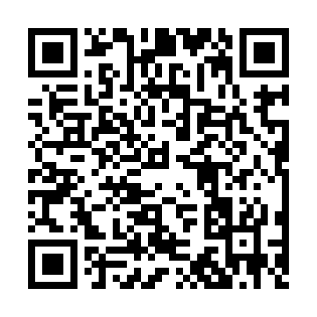 QR code for 03393