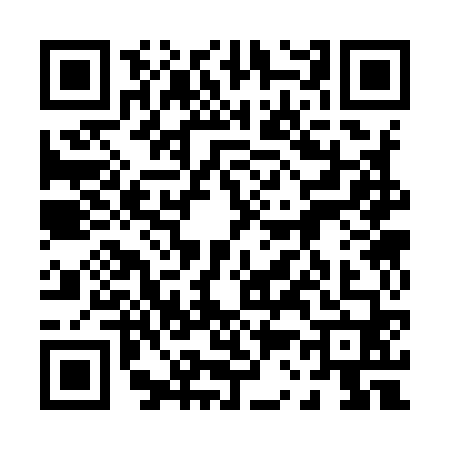QR code for 0339608