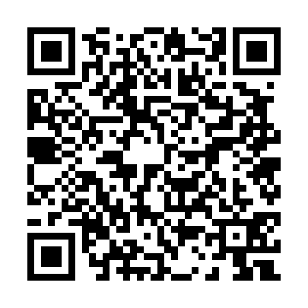 QR code for 0374318