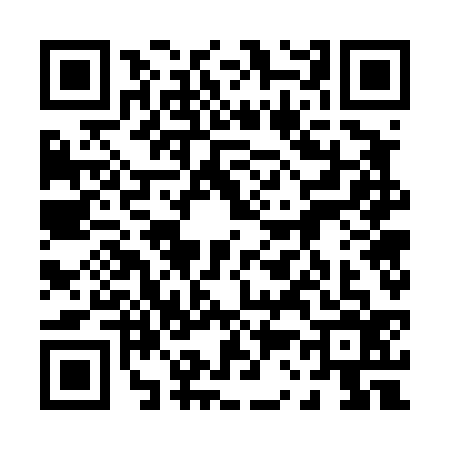 QR code for 0374368