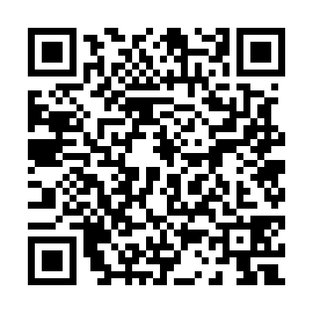 QR code for 0375385