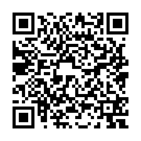 QR code for 0381206