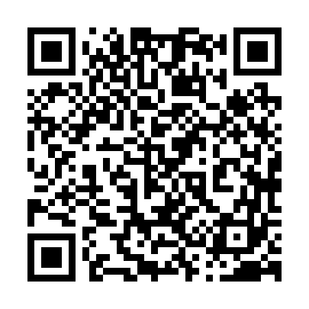 QR code for 038263