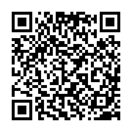 QR code for 038281