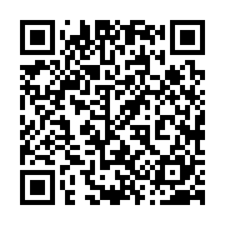 QR code for 038325