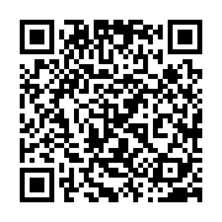 QR code for 038329