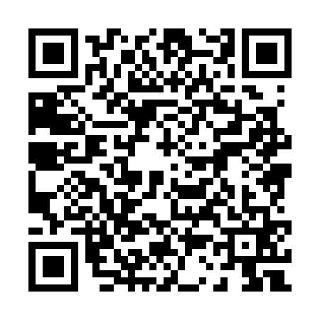 QR code for 0383618