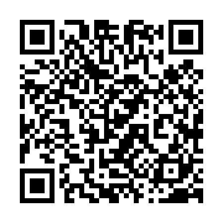 QR code for 038420