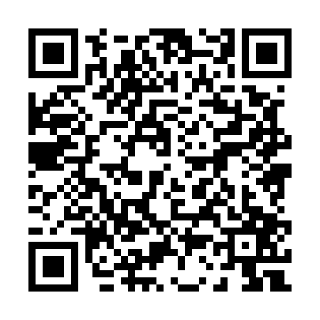 QR code for 0385073