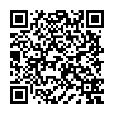QR code for 038528