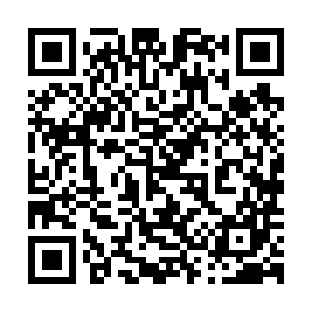 QR code for 038687