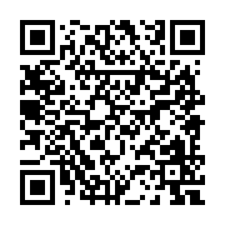 QR code for 03869