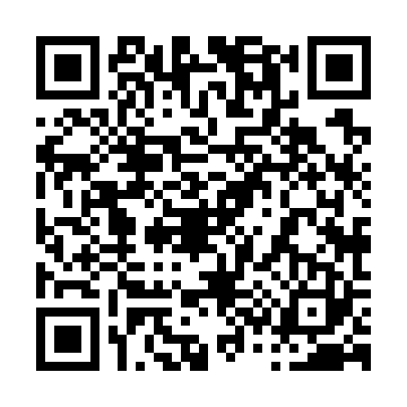 QR code for 0387232