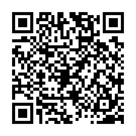 QR code for 0387346