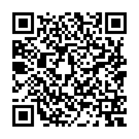QR code for 0389603