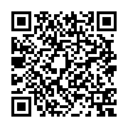 QR code for 0390316