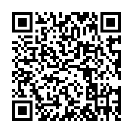 QR code for 03991