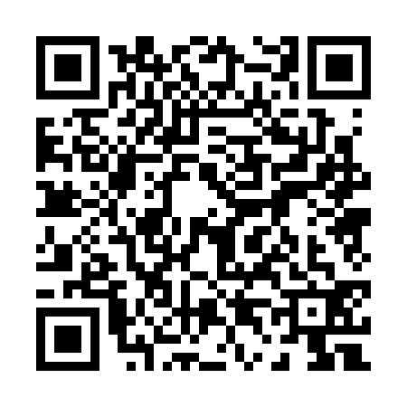 QR code for 0403325