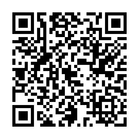QR code for 0403993
