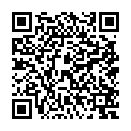 QR code for 0410038