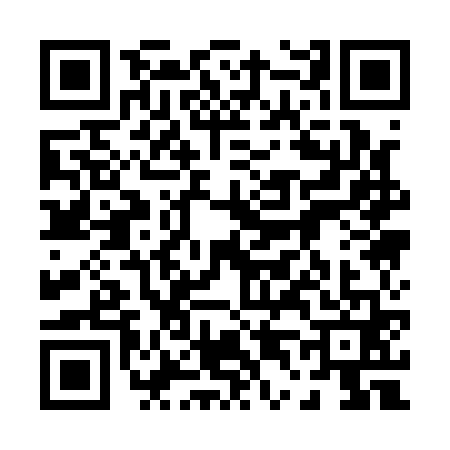 QR code for 0411617