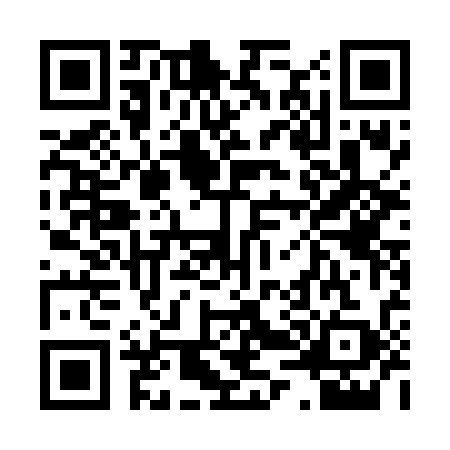 QR code for 0456395