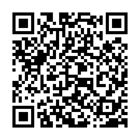 QR code for 046538