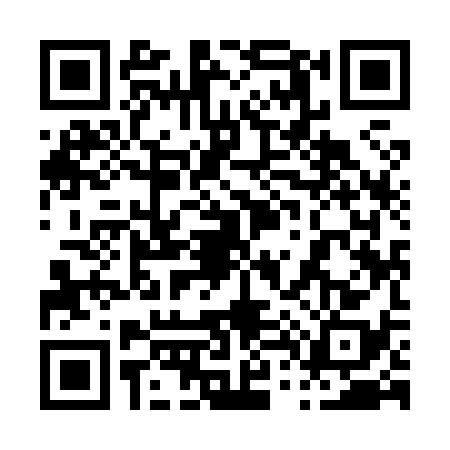 QR code for 0498382
