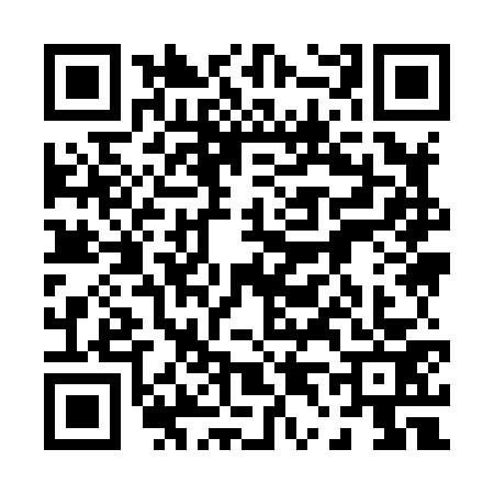 QR code for 0498733