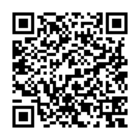 QR code for 0539384