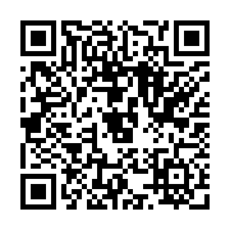 QR code for 0539743