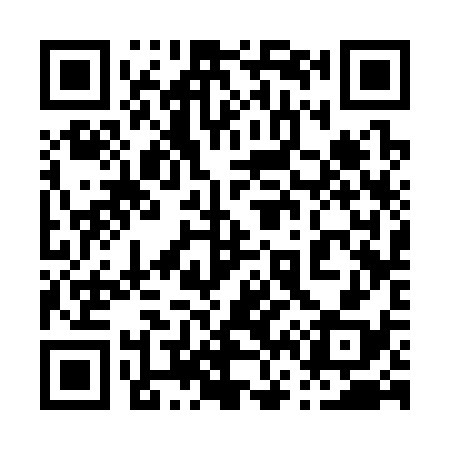 QR code for 063338