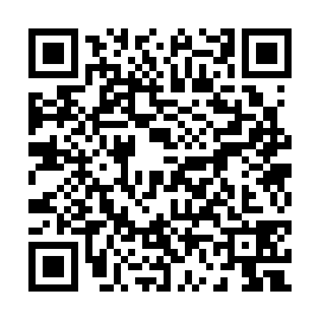 QR code for 0633383