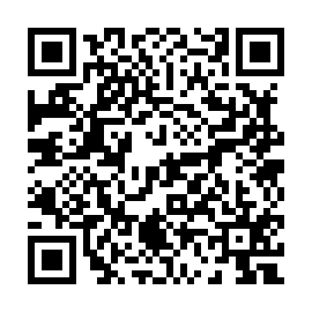 QR code for 0638156