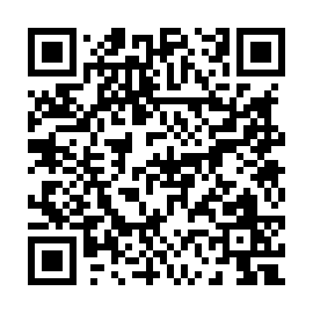 QR code for 06383
