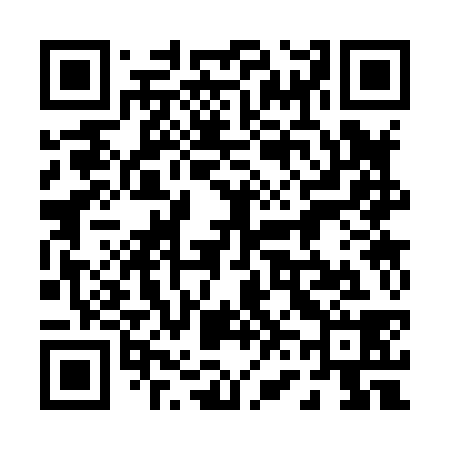 QR code for 063838