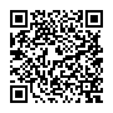 QR code for 0638539