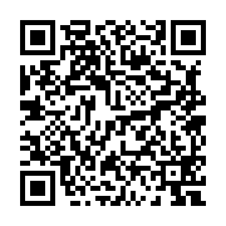 QR code for 0638990