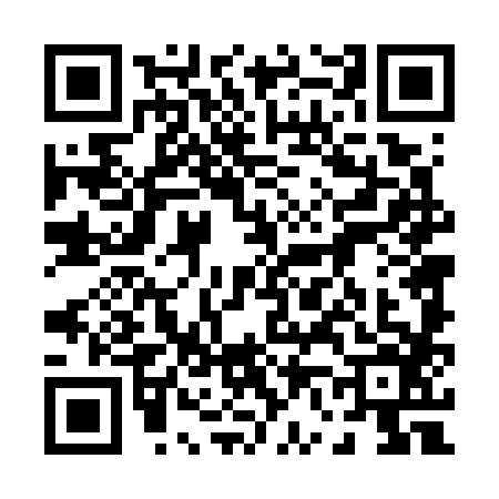 QR code for 0647863