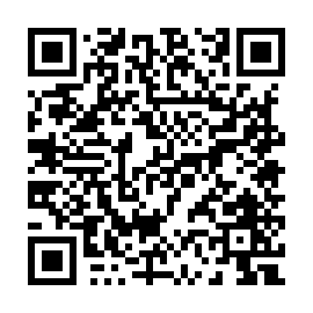 QR code for 06595