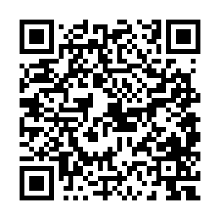 QR code for 06638