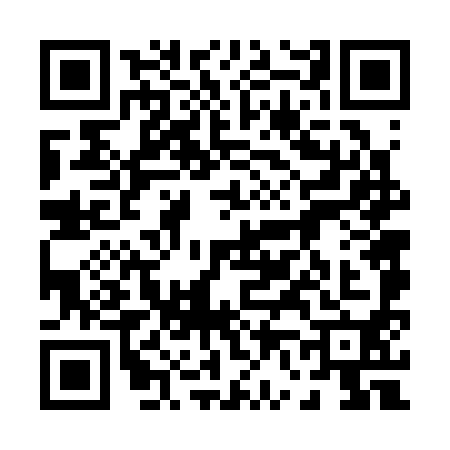 QR code for 0663906