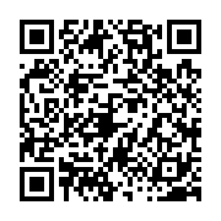 QR code for 0687318