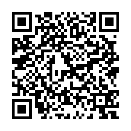 QR code for 0690336
