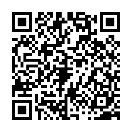 QR code for 0690654