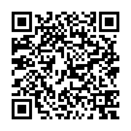 QR code for 0695382