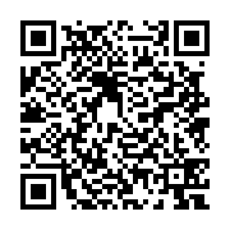 QR code for 0700399