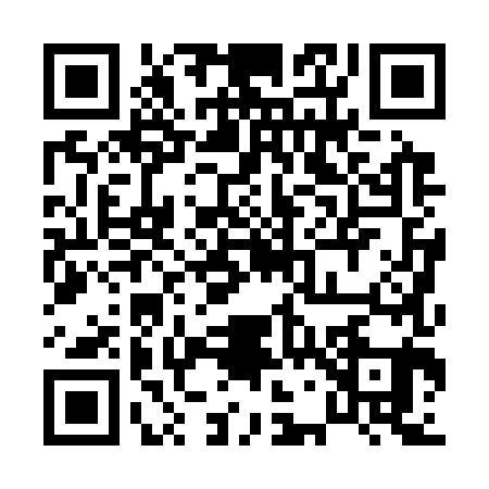 QR code for 0703818