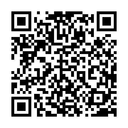 QR code for 070869